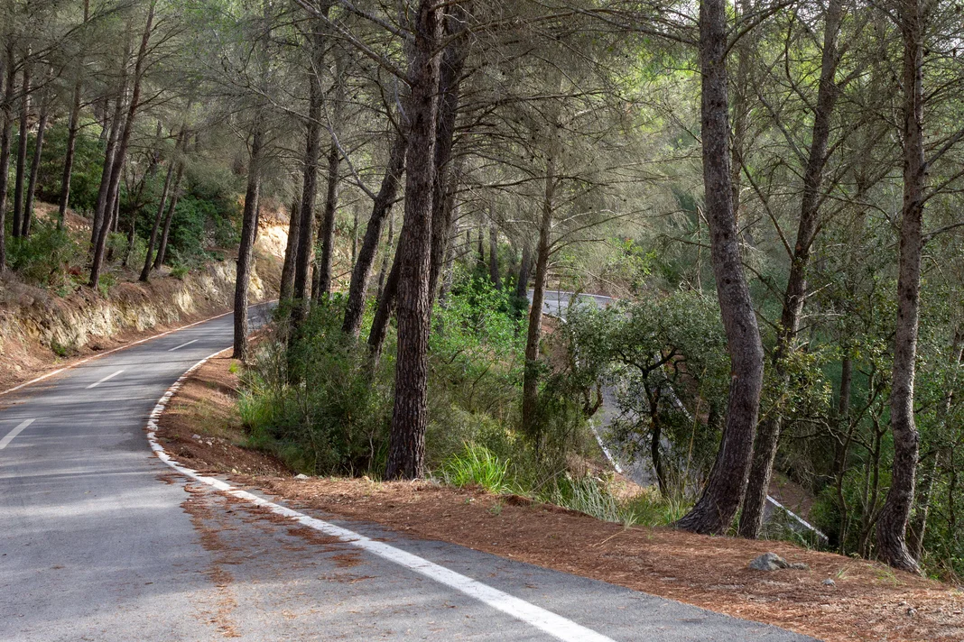Quienes somos Ruta trail por Andalucia
