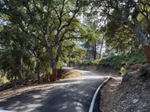 Sierra de las Nieves