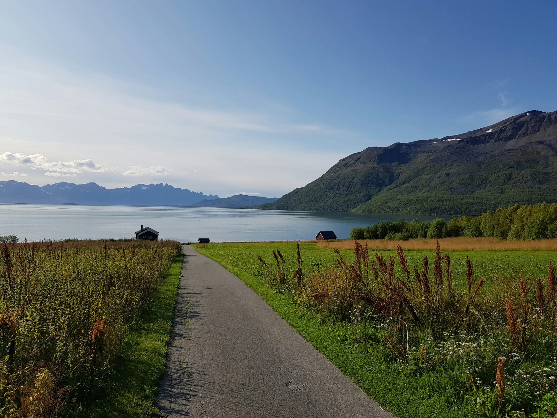jerome sandor almasi VVYe7T3DYLI unsplash